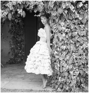 Elsa Martinelli feet photo 13