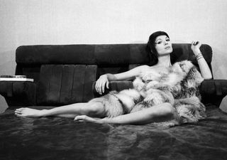 Elsa Martinelli feet photo 10