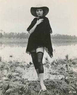 Elsa Martinelli feet photo 9