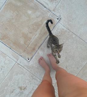 Elsie Hewitt feet photo thumbnail