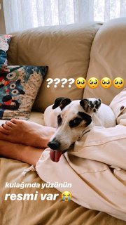 Elvin Levinler feet photo 20