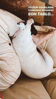 Elvin Levinler feet photo 19