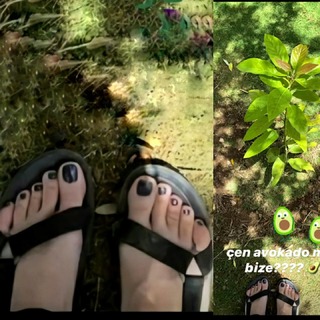 Elvin Levinler feet photo 7