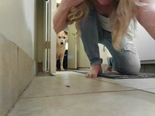 Elyse Willems feet photo thumbnail