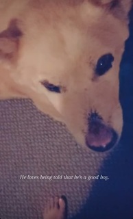 Elyse Willems feet photo thumbnail