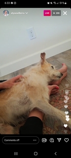 Elyse Willems feet photo thumbnail