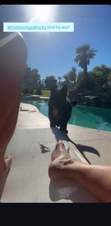 Elysia Rotaru feet photo 16