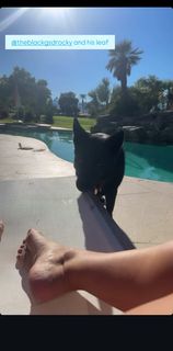 Elysia Rotaru feet photo 15