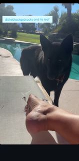 Elysia Rotaru feet photo 14