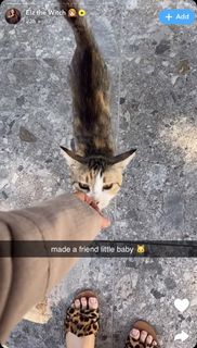 Elz the Witch feet photo thumbnail