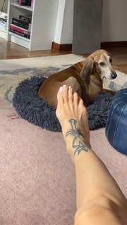 Ema Stokholma feet photo thumbnail