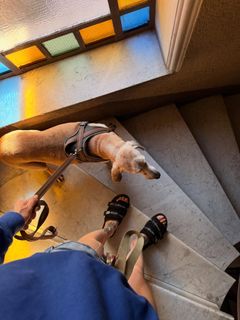 Ema Stokholma feet photo 6