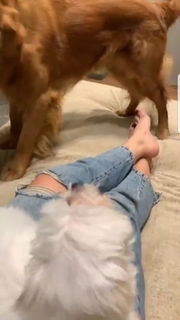 Eman El-Assy feet photo thumbnail