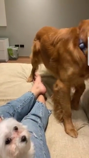 Eman El-Assy feet photo thumbnail