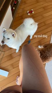 Emi Wong feet photo 14