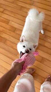 Emi Wong feet photo 13