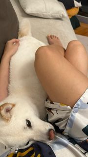 Emi Wong feet photo 14
