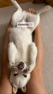 Emi Wong feet photo 13