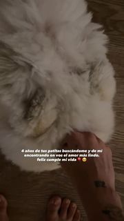 Emilia Mernes feet photo 1