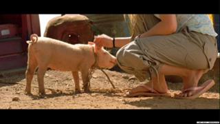 Emilie de Ravin feet photo thumbnail