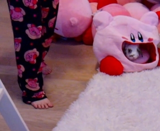 Emily 'Emiru' Schunk feet photo thumbnail