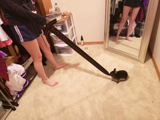 Emily 'Emiru' Schunk feet photo thumbnail