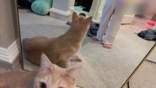 Emily 'Emiru' Schunk feet photo thumbnail