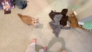 Emily 'Emiru' Schunk feet photo thumbnail