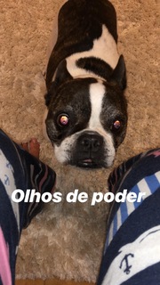 Emily Araujo feet photo 4
