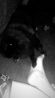 Emily Araujo feet photo 3