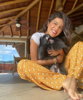 Emily Araujo feet photo 16