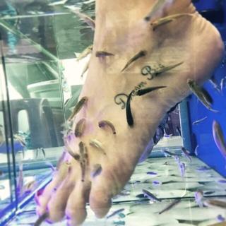 Emily Bett Rickards feet photo thumbnail