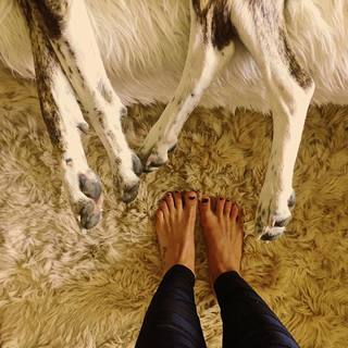 Emily Bett Rickards feet photo thumbnail