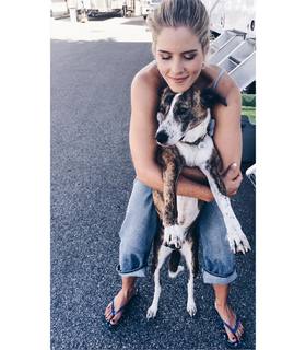 Emily Bett Rickards feet photo thumbnail