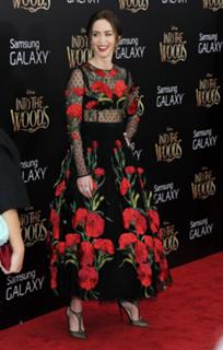 Emily Blunt feet photo thumbnail