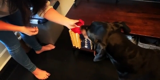 Emily Compagno feet photo thumbnail