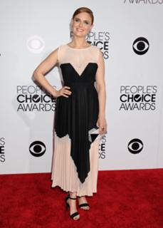 Emily Deschanel feet photo thumbnail