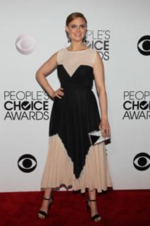 Emily Deschanel feet photo thumbnail