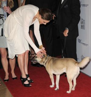Emily Deschanel feet photo thumbnail