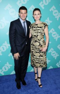 Emily Deschanel feet photo thumbnail