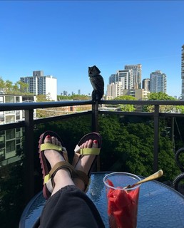 Emily Hampshire feet photo thumbnail