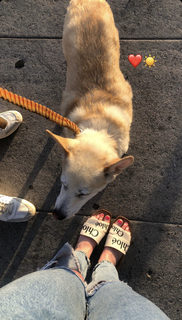 Emily Kinney feet photo thumbnail