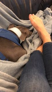 Emily Maitlis feet photo 17