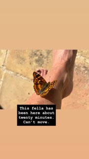 Emily Maitlis feet photo 10