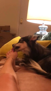 Emily Meade feet photo 20
