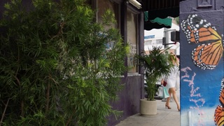 Emily Meade feet photo 15