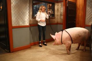 Emily Osment feet photo thumbnail