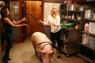 Emily Osment feet photo thumbnail