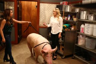 Emily Osment feet photo thumbnail