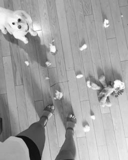 Emily Osment feet photo thumbnail